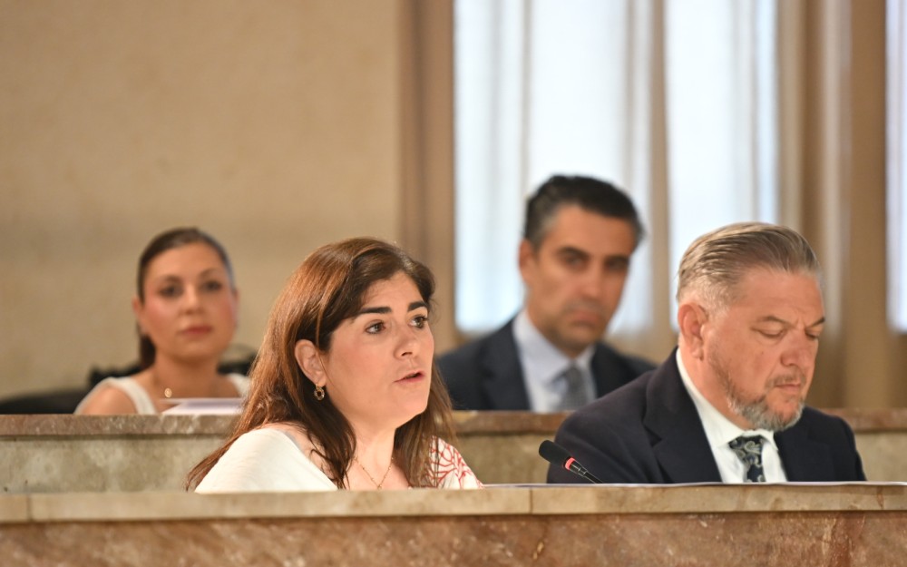 Pleno Ordinario