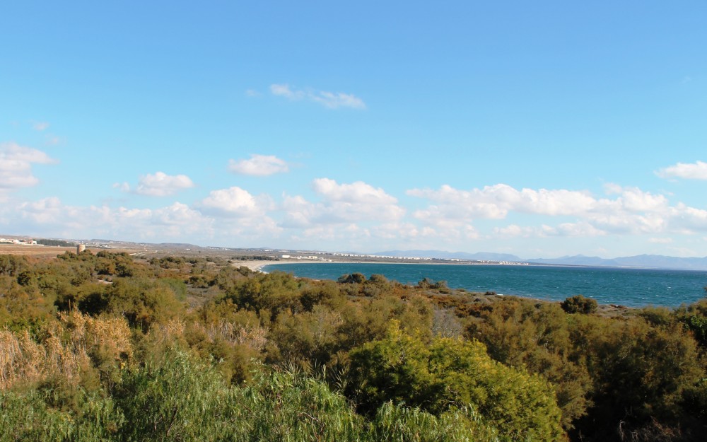 1-Foto-GR-92-1B.jpg