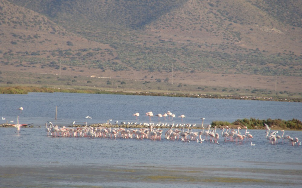 1-Foto-Las-Salinas.jpg