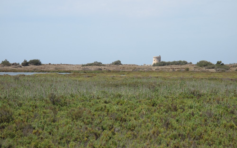 15-Foto-Las-Salinas.jpg