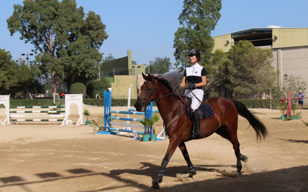 180816 Concurso caballos 1