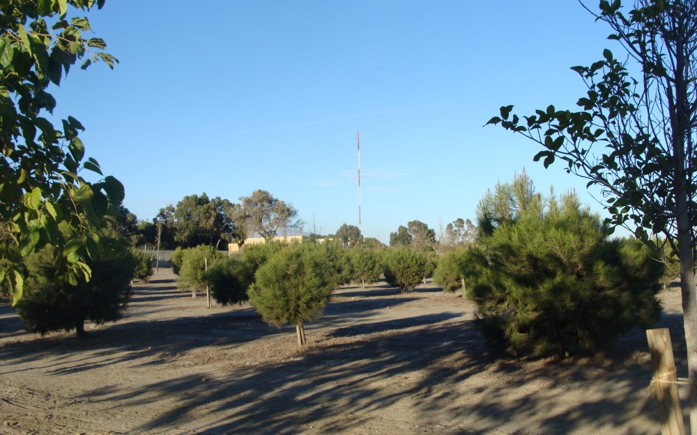 20-Foto-RIBERA-Andarax.jpg
