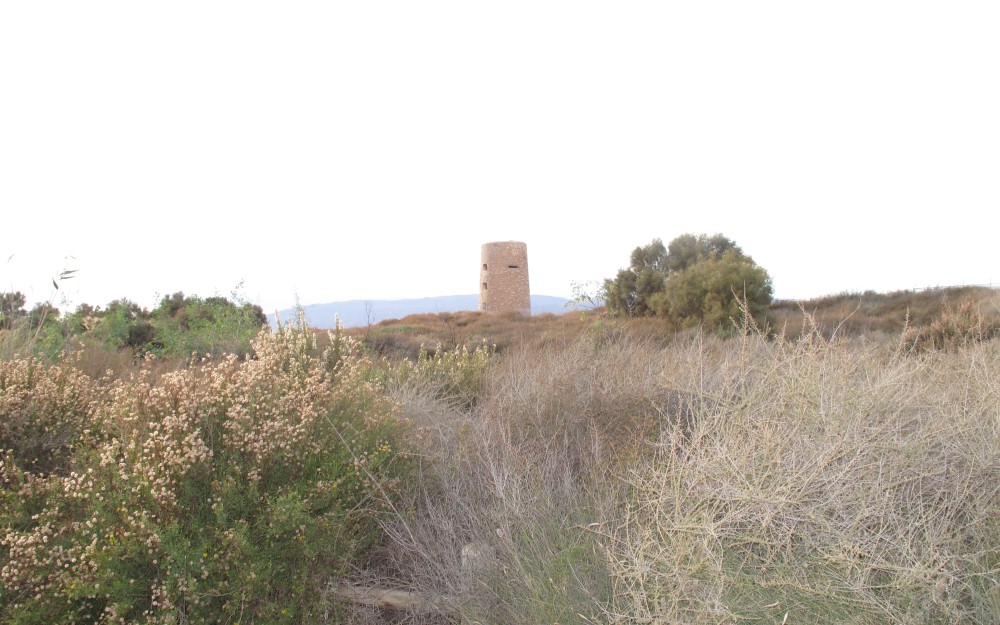 3-Foto-GR-92-1B.jpg