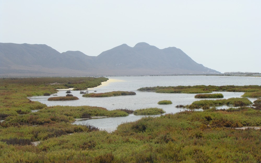3-Foto-Las-Salinas.jpg