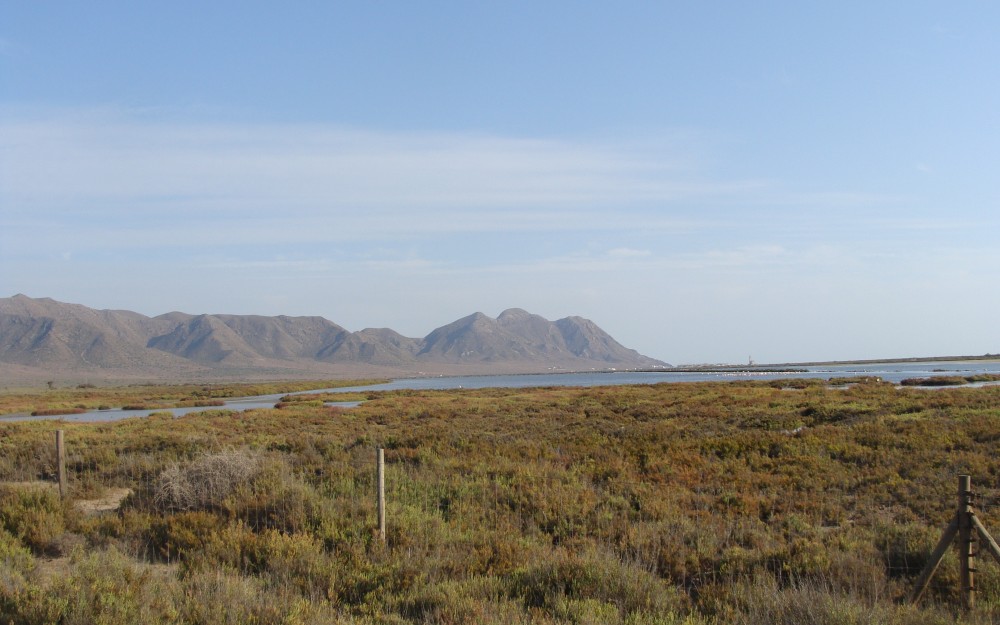 4-Foto-Las-Salinas.jpg