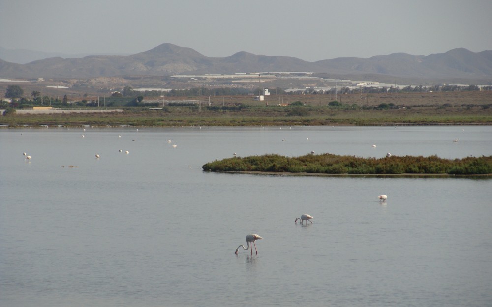 5-Foto-Las-Salinas.jpg