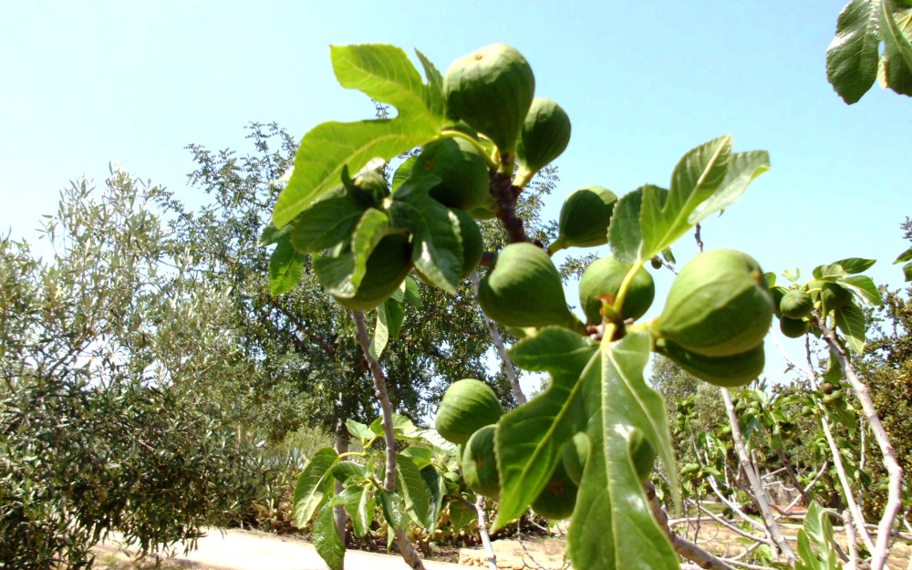 6-Foto-El-Boticario.jpg