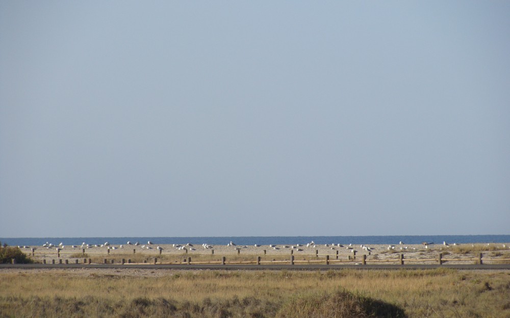7-Foto-Las-Salinas.jpg
