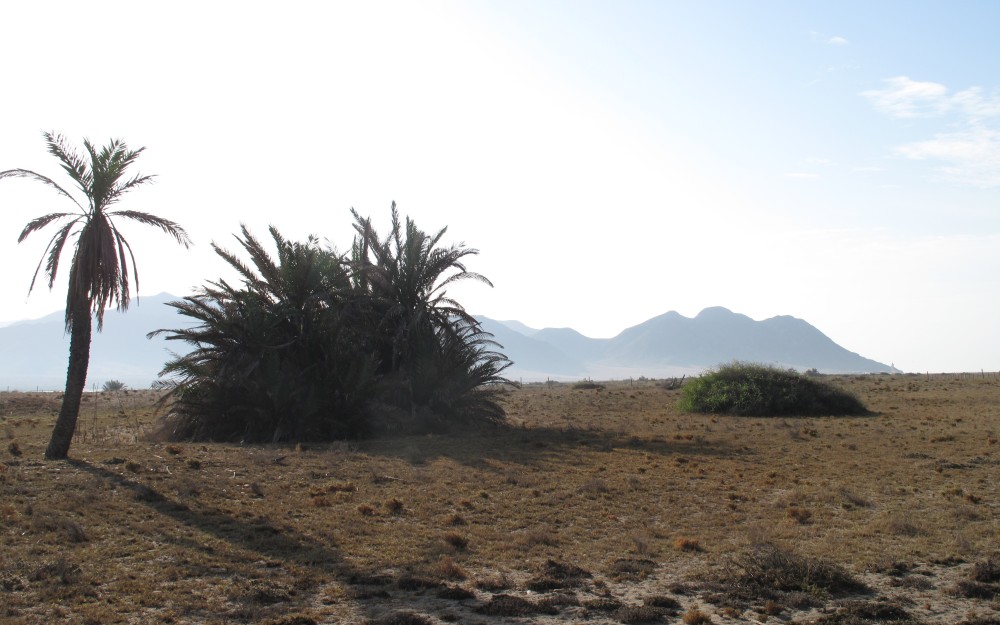 8-Foto-Las-Salinas.jpg