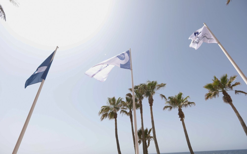 Ayuntamiento Almería limpieza mascotas