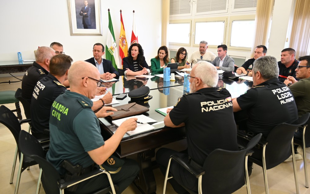 Junta Local Seguridad