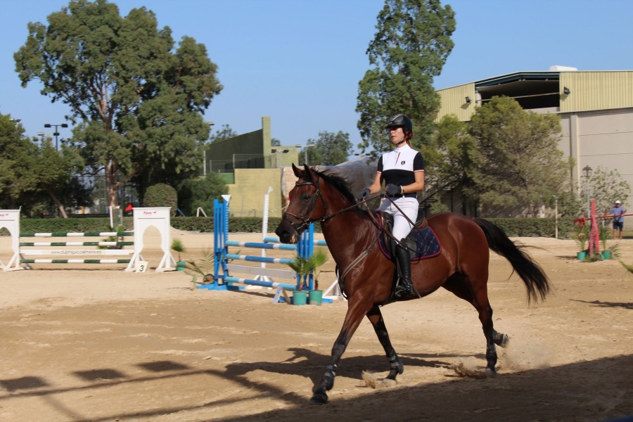 180816 Concurso caballos 1
